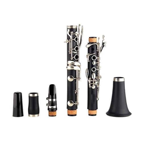 クラリネット 練習」の人気商品一覧 | 安い商品を通販サイトから探す